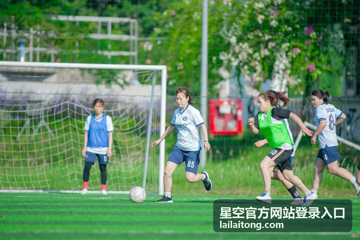 星空登录入口四步登录流程的操作界面