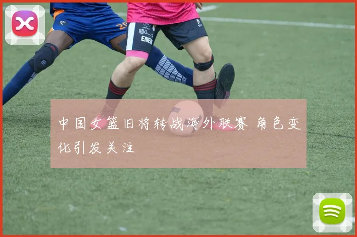 中国女篮旧将转战海外联赛 角色变化引发关注