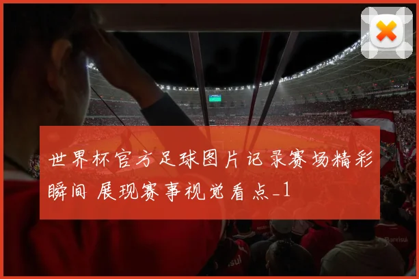 世界杯官方足球图片记录赛场精彩瞬间 展现赛事视觉看点_1