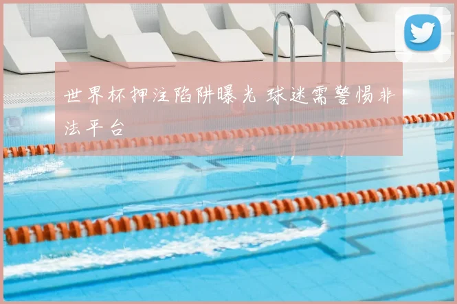 世界杯押注陷阱曝光 球迷需警惕非法平台